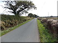 SJ5328 : Road through Brockhurst by Jaggery