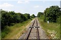 A footpath crossing the line