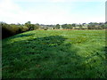 Killyneery Townland