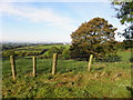 Skey Townland