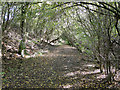 The bed of the old railway line; a pleasant walk