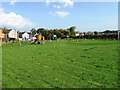 Play area, Bill Forth Memorial Park