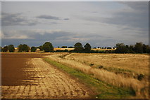TL2267 : Ditch and field boundary by N Chadwick