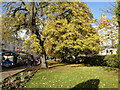 Euston Place Gardens, north from the War Memorial, Royal Leamington Spa