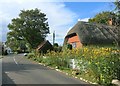 Thatched House with Flowers