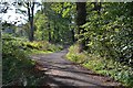 NT1479 : Path in Dalmeny Estate by Jim Barton
