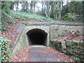 Tunnel under the railway east of Mag Dale