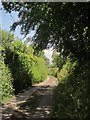 Lane near Trenethick