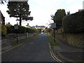 Looking South along South Royde Avenue