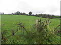 Carnargan Townland