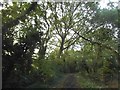 Path from Ashley Lane to Mill Hill