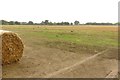 Field near Heathfield Village