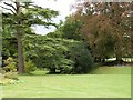 Gardens at Edmondsham House, Dorset