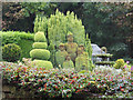 Topiary at 2 Stump Cross, Coaley Lane