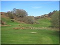 Golf course, Glen Cruitten