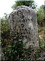 Milestone on the A4 (close-up)