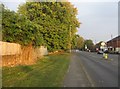 View along Hawley Road