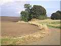 Fife Coastal Path