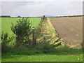 Footpath to the A955