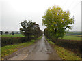 Coach Road towards Spittal Houses