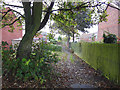 Footpath towards Occupation Road, Harley