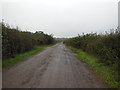 Black Lane towards Tankersley