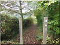 Footpath off Black Lane towards Bull Wood