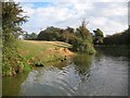 Grand Union Canal: Market Harborough Arm: Reach in Great Bowden