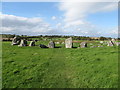 View north-northwest towards the entrance to the Ballynoe Stone Circle