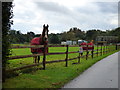 Horses at Chevington Farm