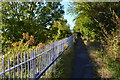 Path up to the street from Platform 2 of Chelsfield Station