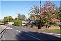 Late autumn on Oakley Lane