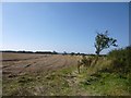 Farmland near HMP Acklington