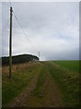 NT8669 : Rural Berwickshire : On Track To Lumsdaine by Richard West