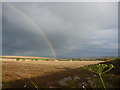 NT8966 : Rural Berwickshire : Rainbow Field Near The Loan, Coldingham by Richard West