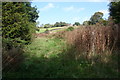 Footpath in Brierley Green