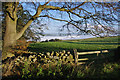 SD5564 : Farmland below Caton Moor by Ian Taylor