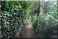 Footpath to Bourne End Station