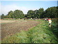 2014 Pattingham Bells cross country race