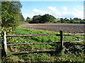 View from the driveway to Crippenden Manor