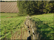 TQ0348 : Fence near Newbarn by Alan Hunt