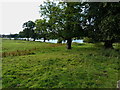 Parkland and pools at Hatherton Hall