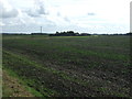 SD3819 : Farmland near Moss Side Farm by JThomas