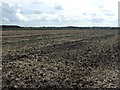 Farmland, Scarisbrick Moss