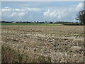 SD3716 : Farmland off Wyke Lane by JThomas