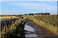 NU1932 : Access Track to New Shoreston by Chris Heaton