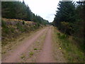 NH7077 : Track heading north-east on Cnoc an t-Sabhail near Coag, Easter Ross by ian shiell