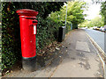 TG1908 : Earlham Hill Postbox by Geographer