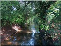 The Yeading Brook in Cutthroat Wood