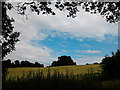 Field off the bridle path from Caughall Road, Upton-by-Chester